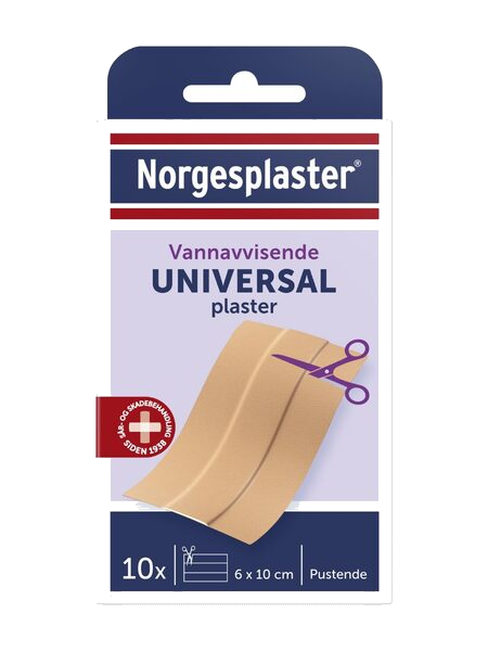 Norgespl Pl 10Stk A 10Cm 1 stk